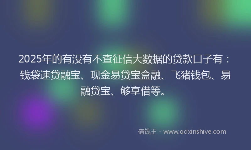 2025年的有没有不查征信大数据的贷款口子有：钱袋速贷融宝、现金易贷宝盒融、飞猪钱包、易融贷宝、够享借等。