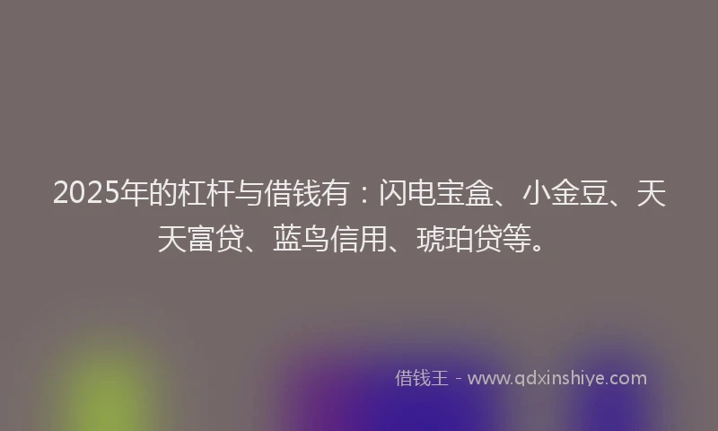 2025年的杠杆与借钱有：闪电宝盒、小金豆、天天富贷、蓝鸟信用、琥珀贷等。