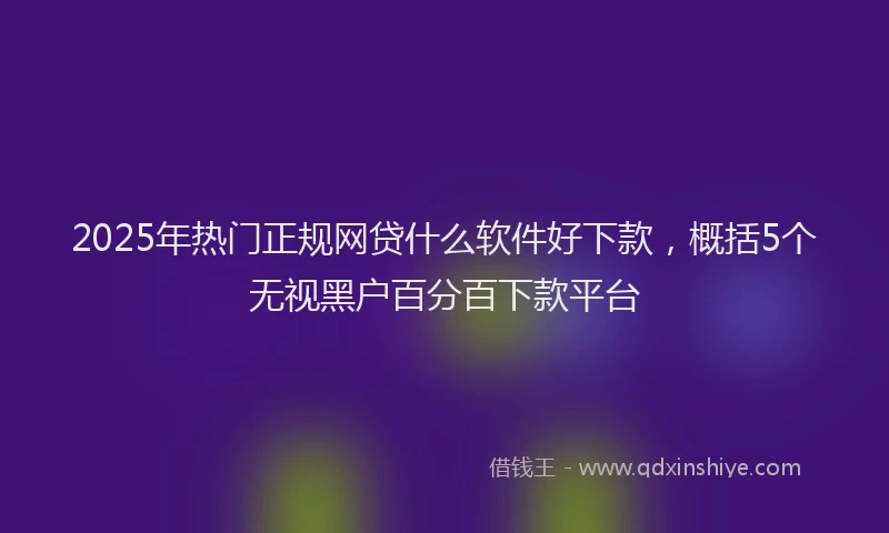 2025年热门正规网贷什么软件好下款，概括5个无视黑户百分百下款平台