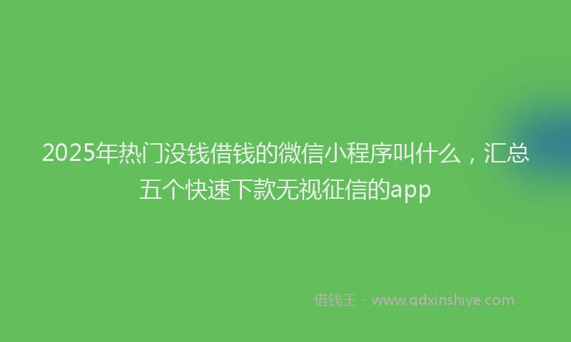 2025年热门没钱借钱的微信小程序叫什么，汇总五个快速下款无视征信的app