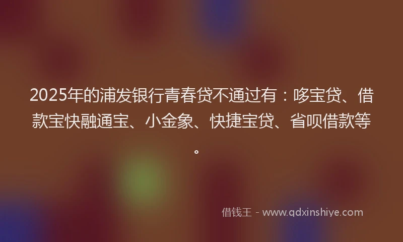 2025年的浦发银行青春贷不通过有：哆宝贷、借款宝快融通宝、小金象、快捷宝贷、省呗借款等。