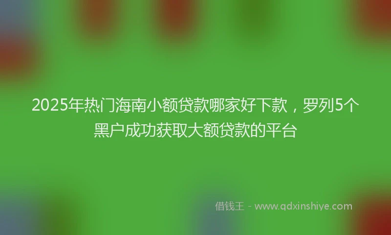 2025年热门海南小额贷款哪家好下款，罗列5个黑户成功获取大额贷款的平台