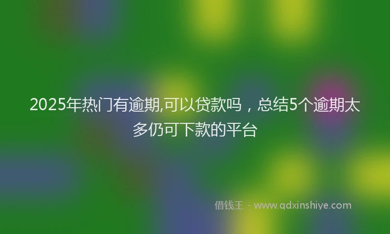 2025年热门有逾期,可以贷款吗，总结5个逾期太多仍可下款的平台