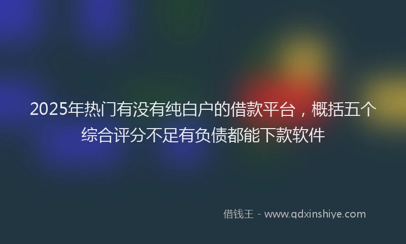 2025年热门有没有纯白户的借款平台，概括五个综合评分不足有负债都能下款软件