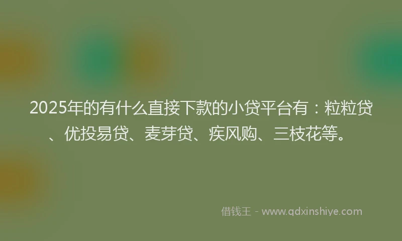 2025年的有什么直接下款的小贷平台有:粒粒贷、优投易贷、麦芽贷、疾风购、三枝花等。