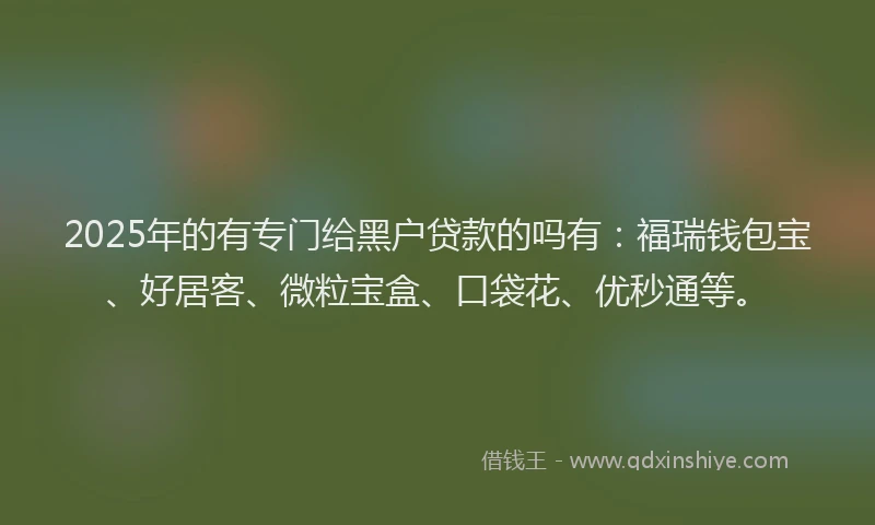 2025年的有专门给黑户贷款的吗有：福瑞钱包宝、好居客、微粒宝盒、口袋花、优秒通等。