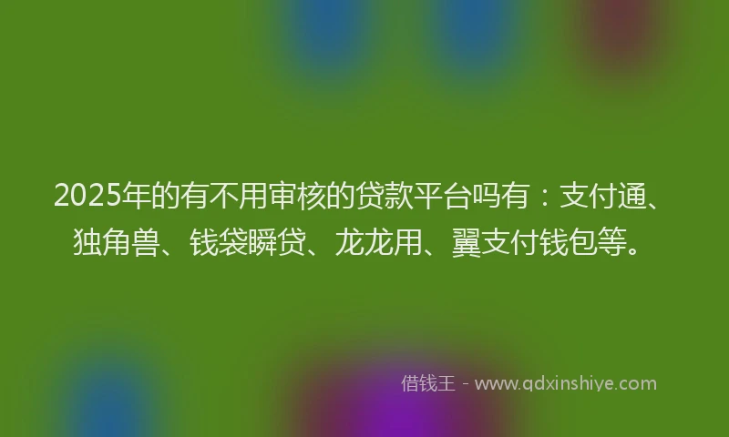 2025年的有不用审核的贷款平台吗有：支付通、独角兽、钱袋瞬贷、龙龙用、翼支付钱包等。