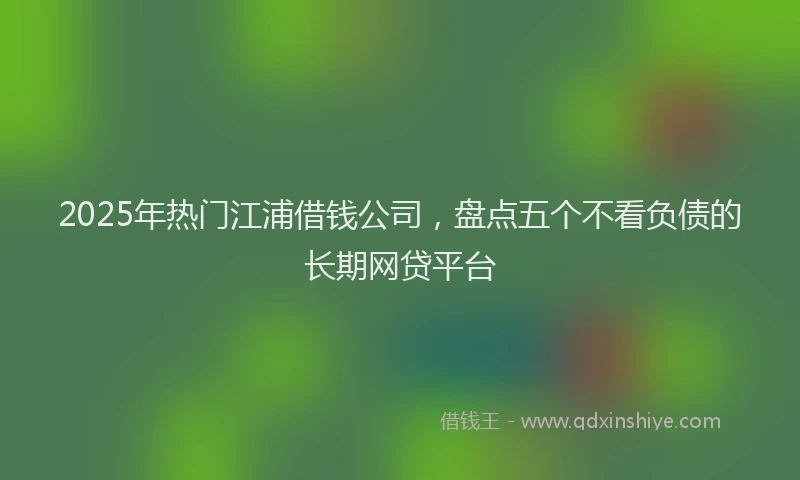 2025年热门江浦借钱公司,盘点五个不看负债的长期网贷平台