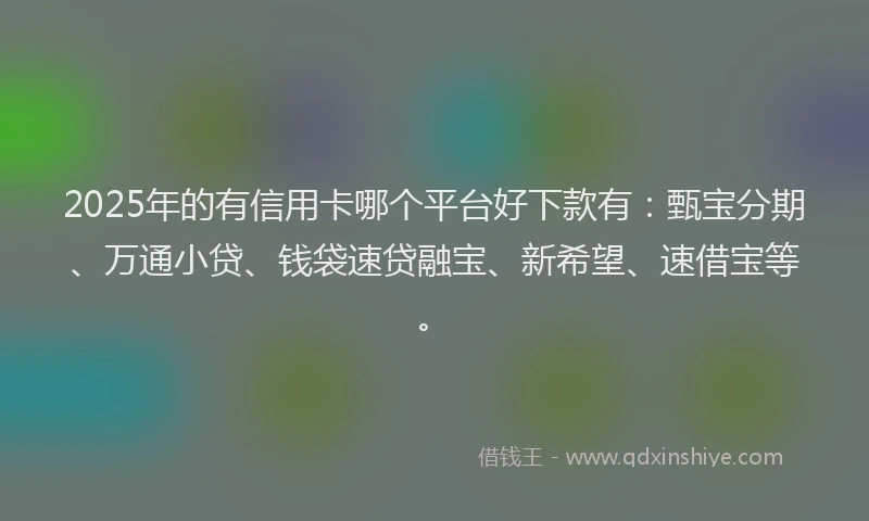 2025年的有信用卡哪个平台好下款有：甄宝分期、万通小贷、钱袋速贷融宝、新希望、速借宝等。