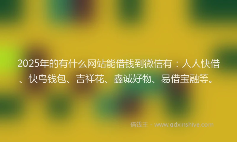 2025年的有什么网站能借钱到微信有：人人快借、快鸟钱包、吉祥花、鑫诚好物、易借宝融等。