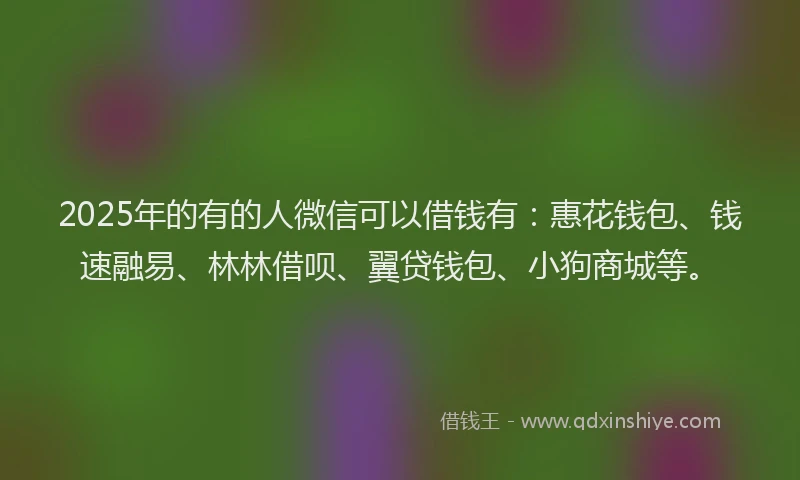 2025年的有的人微信可以借钱有：惠花钱包、钱速融易、林林借呗、翼贷钱包、小狗商城等。