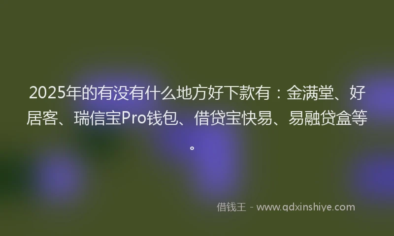 2025年的有没有什么地方好下款有:金满堂、好居客、瑞信宝Pro钱包、借贷宝快易、易融贷盒等。