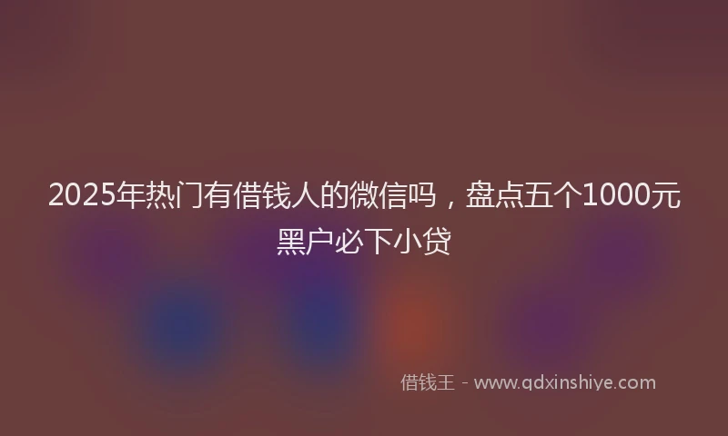 2025年热门有借钱人的微信吗，盘点五个1000元黑户必下小贷