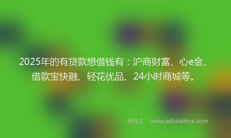 2025年的有贷款想借钱有:沪商财富、心e金、借款宝快融、轻花优品、24小时商城等。