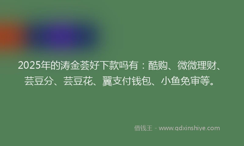 2025年的涛金荟好下款吗有：酷购、微微理财、芸豆分、芸豆花、翼支付钱包、小鱼免审等。