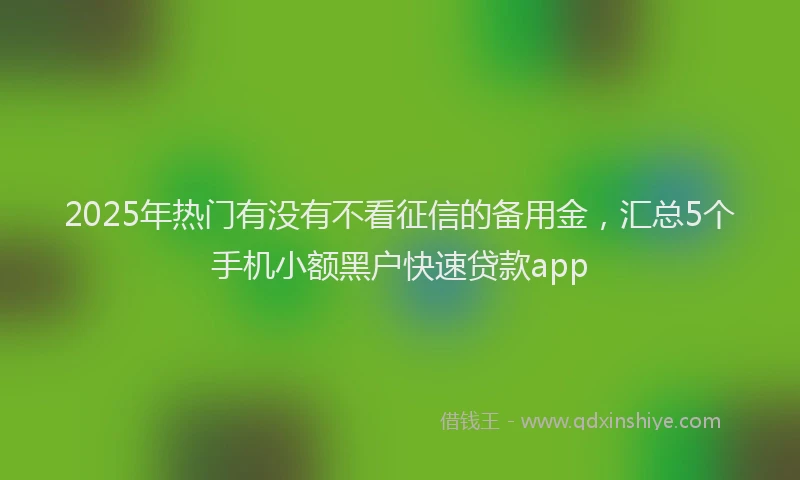 2025年热门有没有不看征信的备用金，汇总5个手机小额黑户快速贷款app