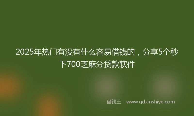 2025年热门有没有什么容易借钱的，分享5个秒下700芝麻分贷款软件
