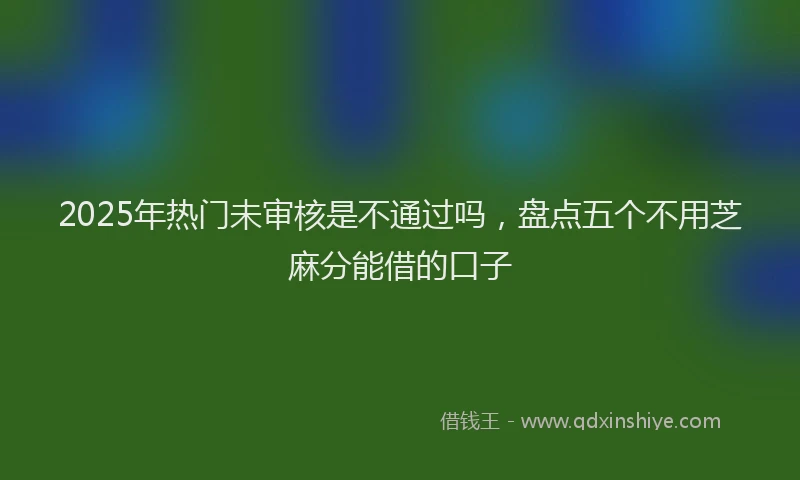2025年热门未审核是不通过吗，盘点五个不用芝麻分能借的口子