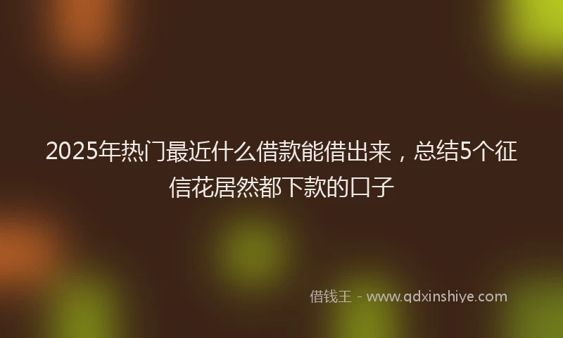 2025年热门最近什么借款能借出来，总结5个征信花居然都下款的口子
