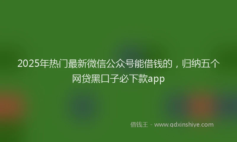 2025年热门最新微信公众号能借钱的，归纳五个网贷黑口子必下款app