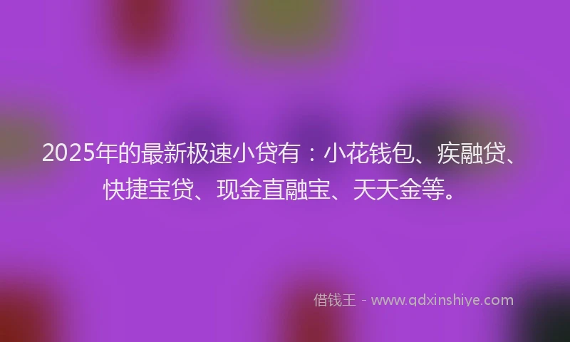 2025年的最新极速小贷有：小花钱包、疾融贷、快捷宝贷、现金直融宝、天天金等。