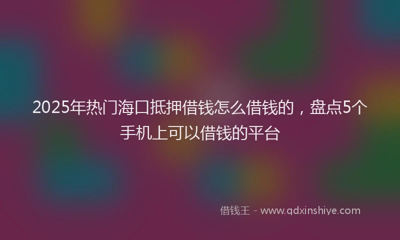 2025年热门海口抵押借钱怎么借钱的，盘点5个手机上可以借钱的平台