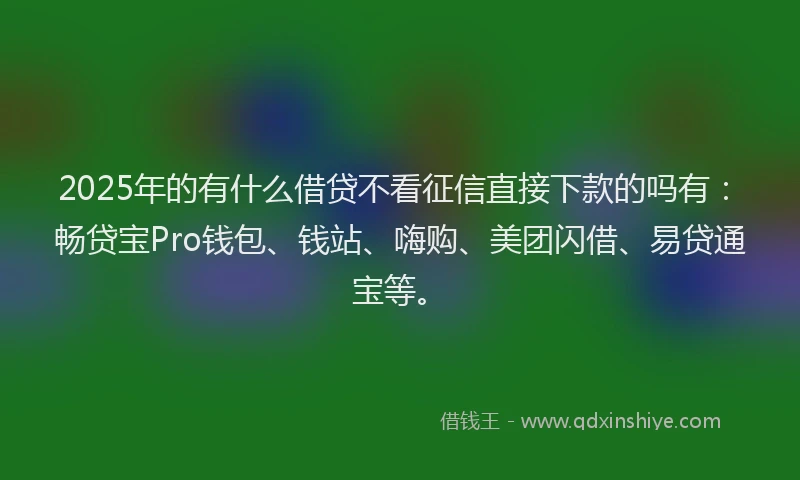 2025年的有什么借贷不看征信直接下款的吗有:畅贷宝Pro钱包、钱站、嗨购、美团闪借、易贷通宝等。