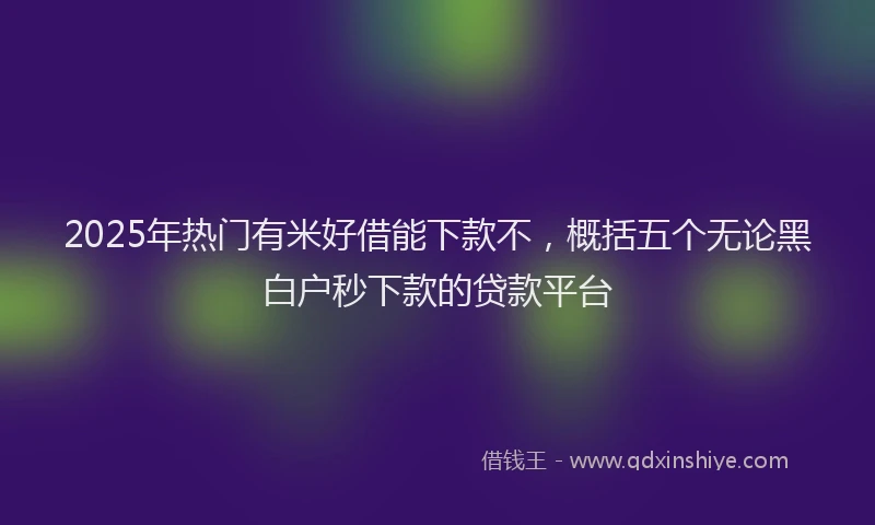 2025年热门有米好借能下款不，概括五个无论黑白户秒下款的贷款平台