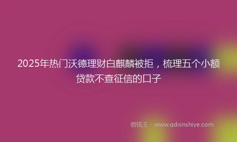 2025年热门沃德理财白麒麟被拒，梳理五个小额贷款不查征信的口子