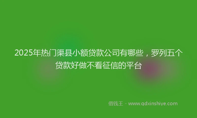 2025年热门渠县小额贷款公司有哪些，罗列五个贷款好做不看征信的平台