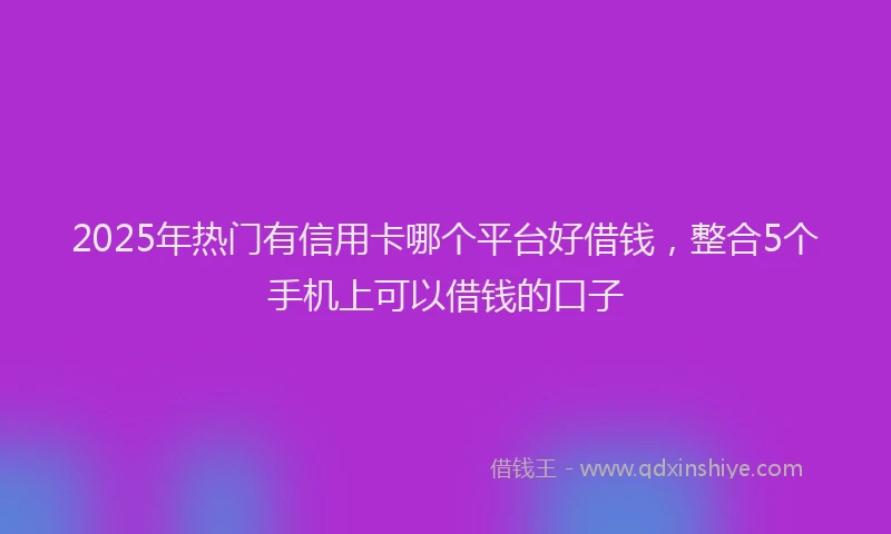 2025年热门有信用卡哪个平台好借钱，整合5个手机上可以借钱的口子