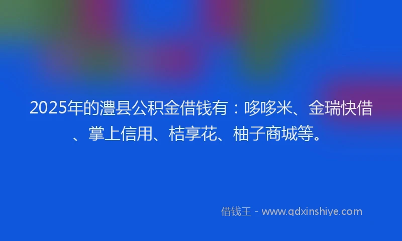 2025年的澧县公积金借钱有：哆哆米、金瑞快借、掌上信用、桔享花、柚子商城等。