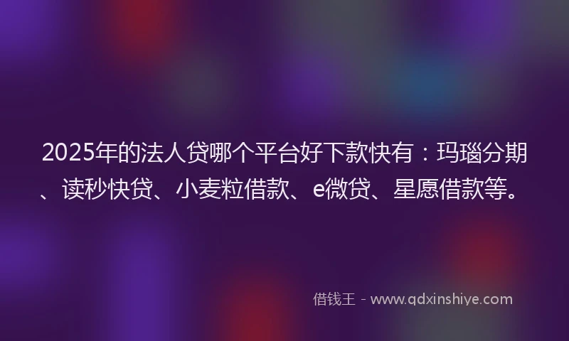 2025年的法人贷哪个平台好下款快有：玛瑙分期、读秒快贷、小麦粒借款、e微贷、星愿借款等。