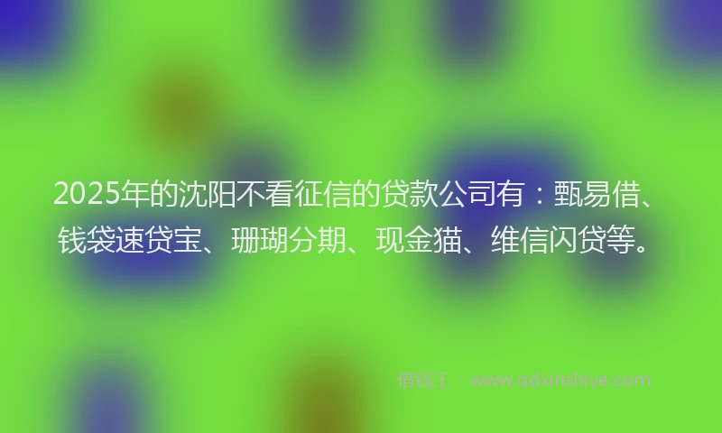 2025年的沈阳不看征信的贷款公司有：甄易借、钱袋速贷宝、珊瑚分期、现金猫、维信闪贷等。