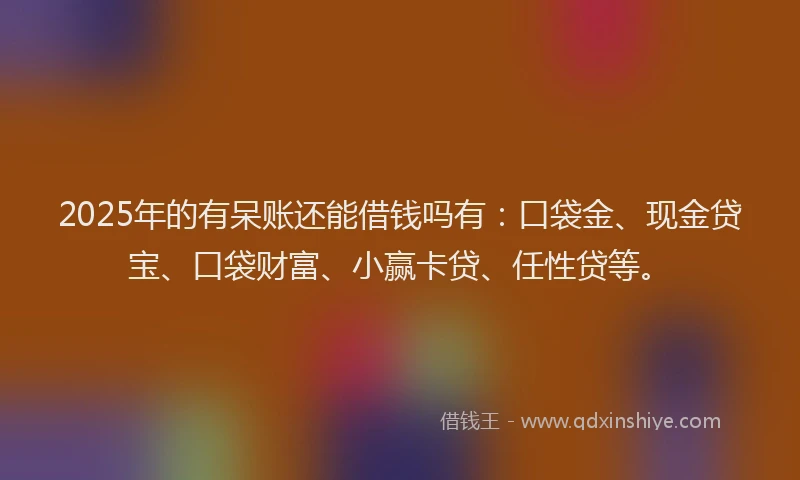 2025年的有呆账还能借钱吗有：口袋金、现金贷宝、口袋财富、小赢卡贷、任性贷等。