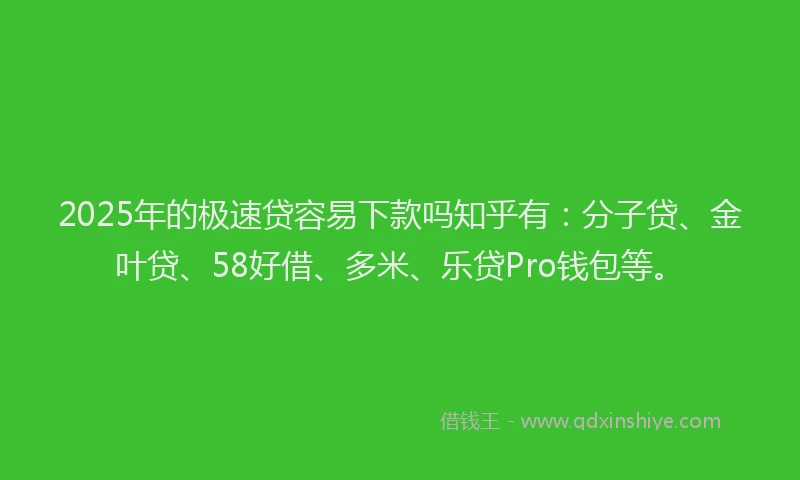 2025年的极速贷容易下款吗知乎有：分子贷、金叶贷、58好借、多米、乐贷Pro钱包等。