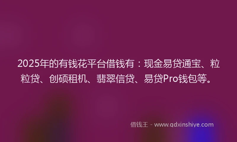 2025年的有钱花平台借钱有:现金易贷通宝、粒粒贷、创硕租机、翡翠信贷、易贷Pro钱包等。