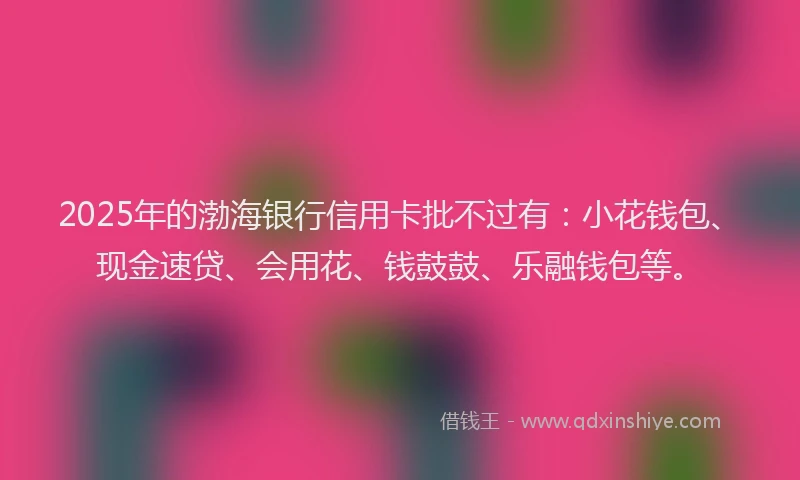 2025年的渤海银行信用卡批不过有：小花钱包、现金速贷、会用花、钱鼓鼓、乐融钱包等。