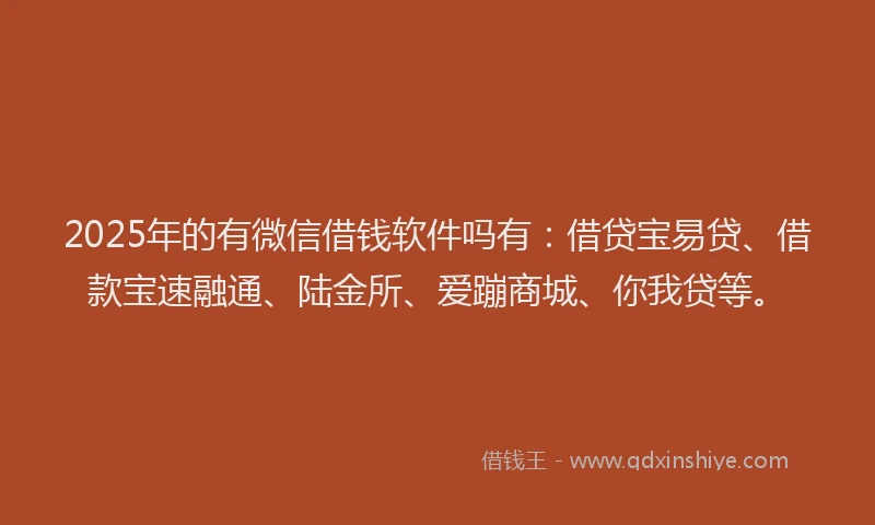 2025年的有微信借钱软件吗有：借贷宝易贷、借款宝速融通、陆金所、爱蹦商城、你我贷等。