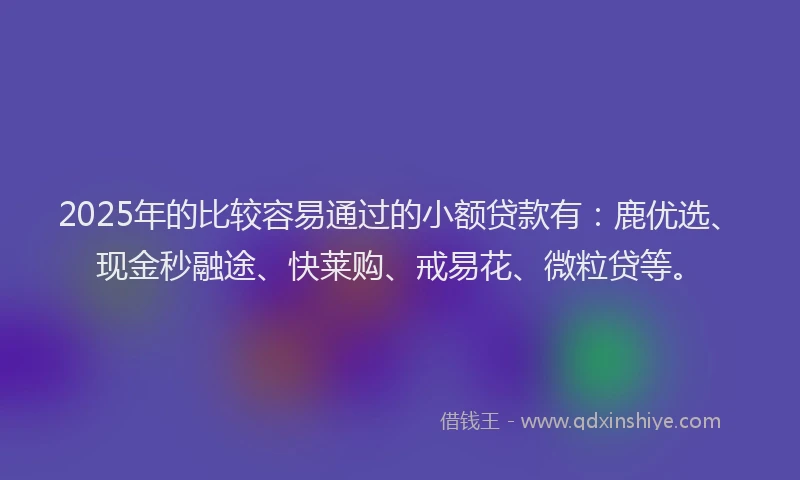 2025年的比较容易通过的小额贷款有：鹿优选、现金秒融途、快莱购、戒易花、微粒贷等。