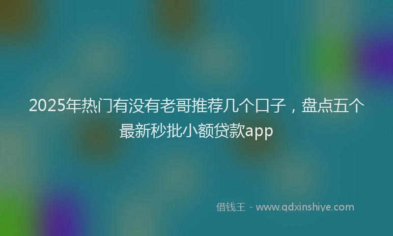 2025年热门有没有老哥推荐几个口子，盘点五个最新秒批小额贷款app