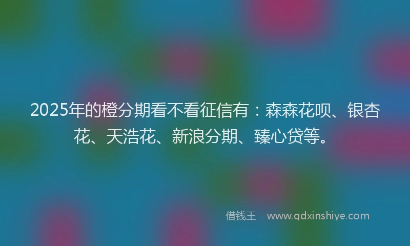 2025年的橙分期看不看征信有：森森花呗、银杏花、天浩花、新浪分期、臻心贷等。