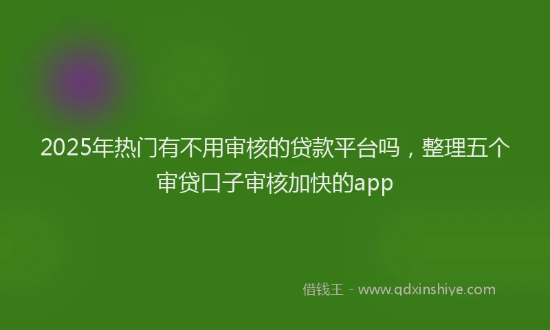 2025年热门有不用审核的贷款平台吗，整理五个审贷口子审核加快的app