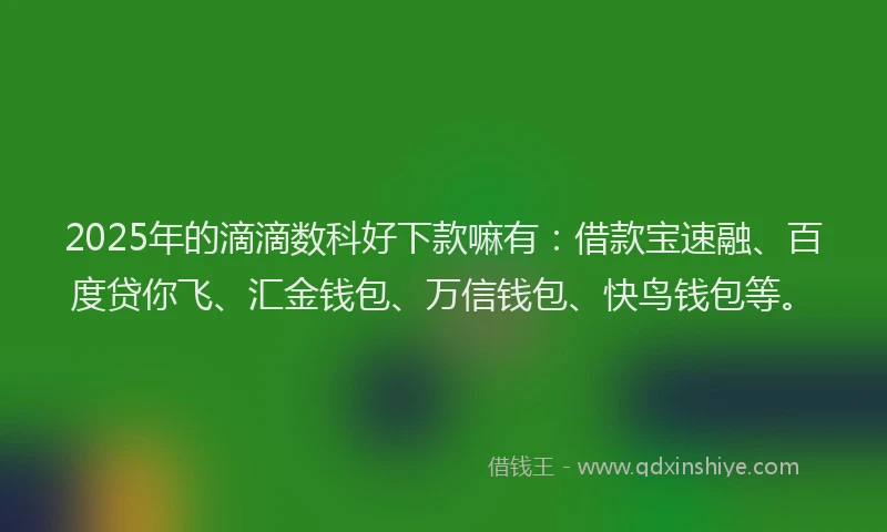 2025年的滴滴数科好下款嘛有：借款宝速融、百度贷你飞、汇金钱包、万信钱包、快鸟钱包等。
