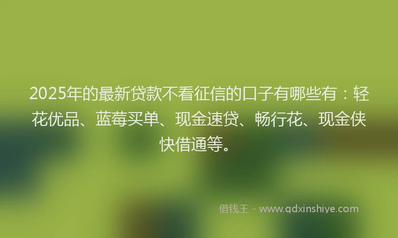 2025年的最新贷款不看征信的口子有哪些有：轻花优品、蓝莓买单、现金速贷、畅行花、现金侠快借通等。