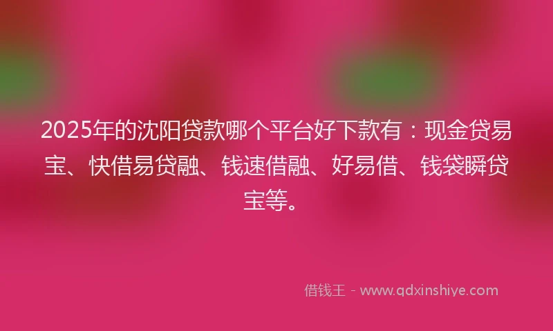 2025年的沈阳贷款哪个平台好下款有：现金贷易宝、快借易贷融、钱速借融、好易借、钱袋瞬贷宝等。