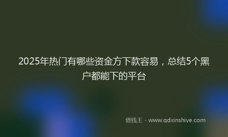 2025年热门有哪些资金方下款容易，总结5个黑户都能下的平台