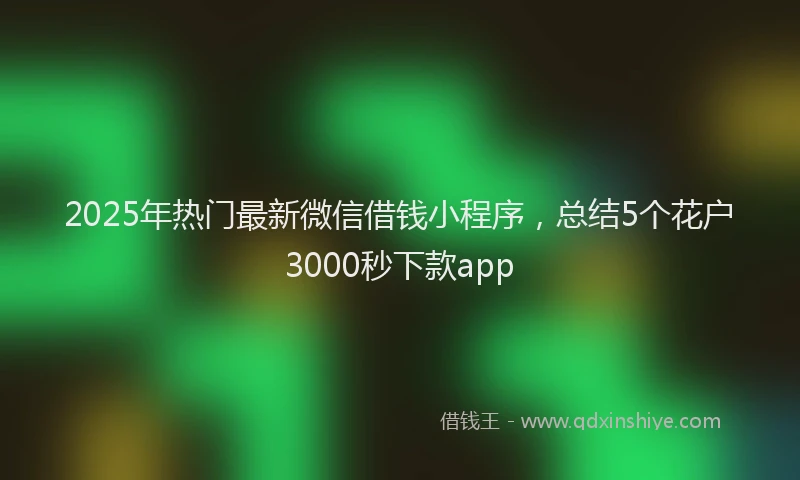 2025年热门最新微信借钱小程序，总结5个花户3000秒下款app
