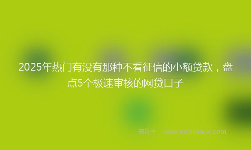 2025年热门有没有那种不看征信的小额贷款，盘点5个极速审核的网贷口子