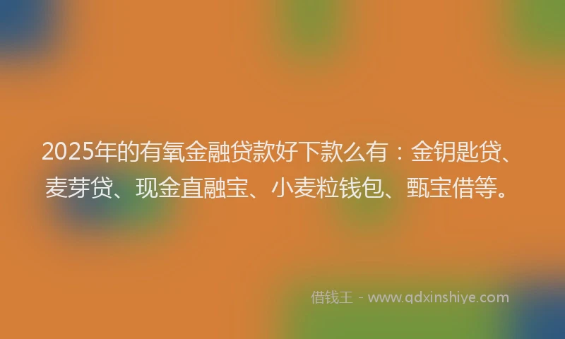 2025年的有氧金融贷款好下款么有：金钥匙贷、麦芽贷、现金直融宝、小麦粒钱包、甄宝借等。